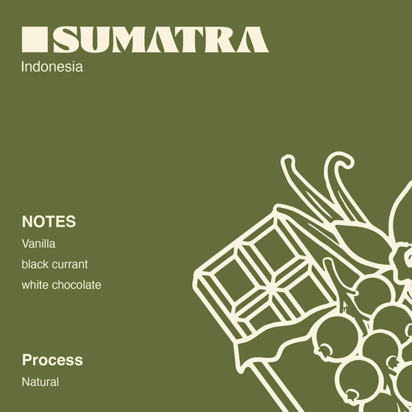 Indonesia - Sumatra Drip Bags