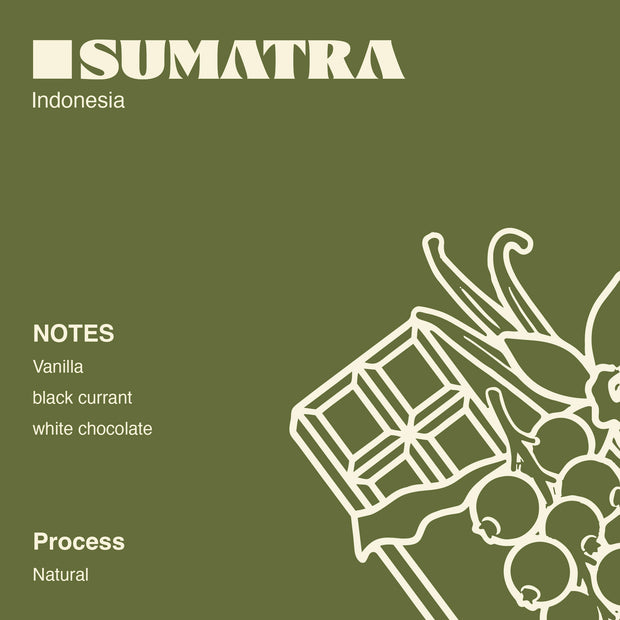 Indonesia - Sumatra Drip Bags