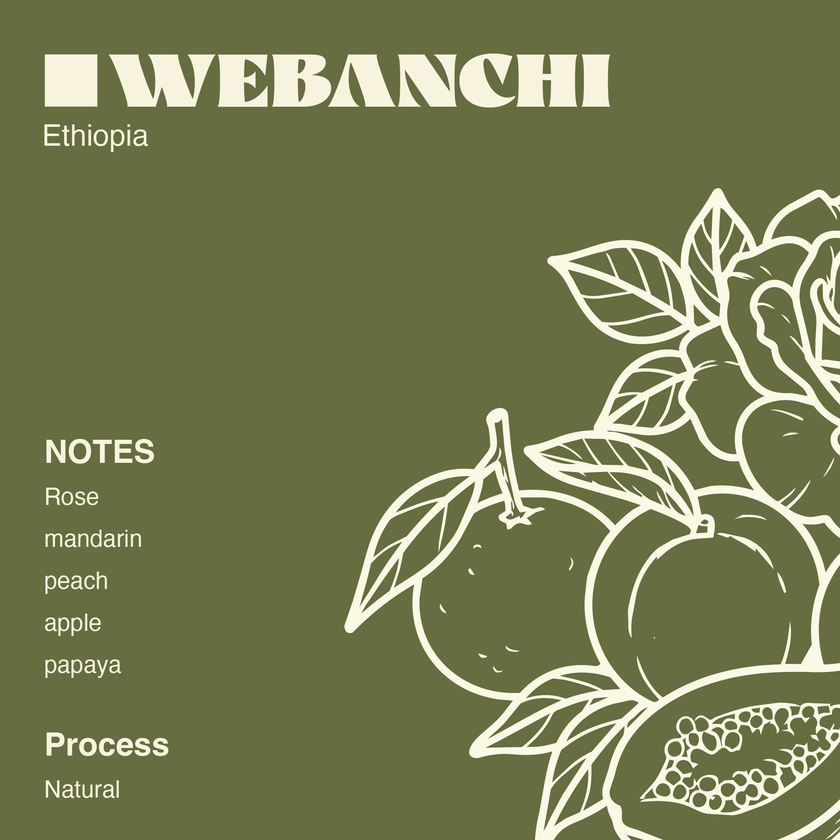 Ethiopia - Webanchi