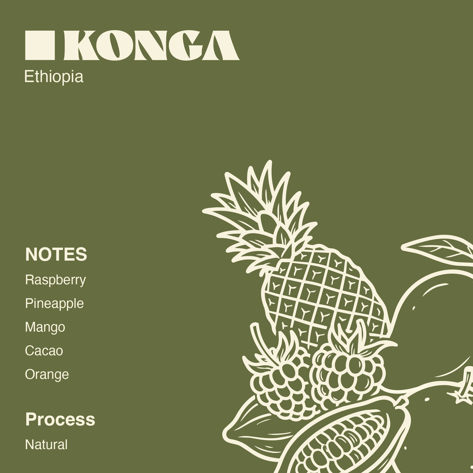 Ethiopia - Konga